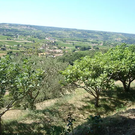 Sunny In Provence With Pool Holiday home Seguret