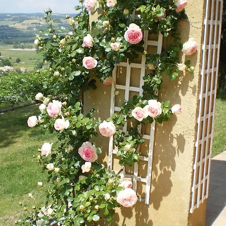 Holiday home Sunny In Provence With Pool Seguret